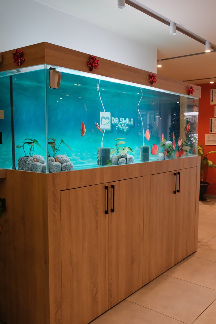 Clinic interior with aquarium